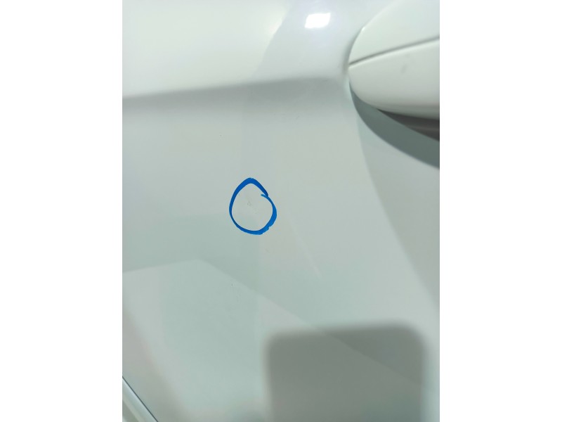 Recambio de puerta trasera izquierda para ford s-max (ca1) 2.0 tdci cat referencia OEM IAM   