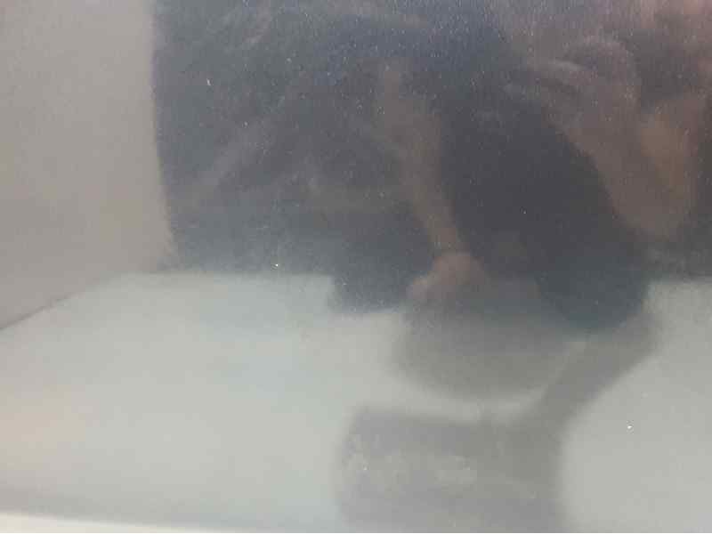 Recambio de puerta delantera izquierda para porsche panamera 4.8 v8 turbo cat referencia OEM IAM   