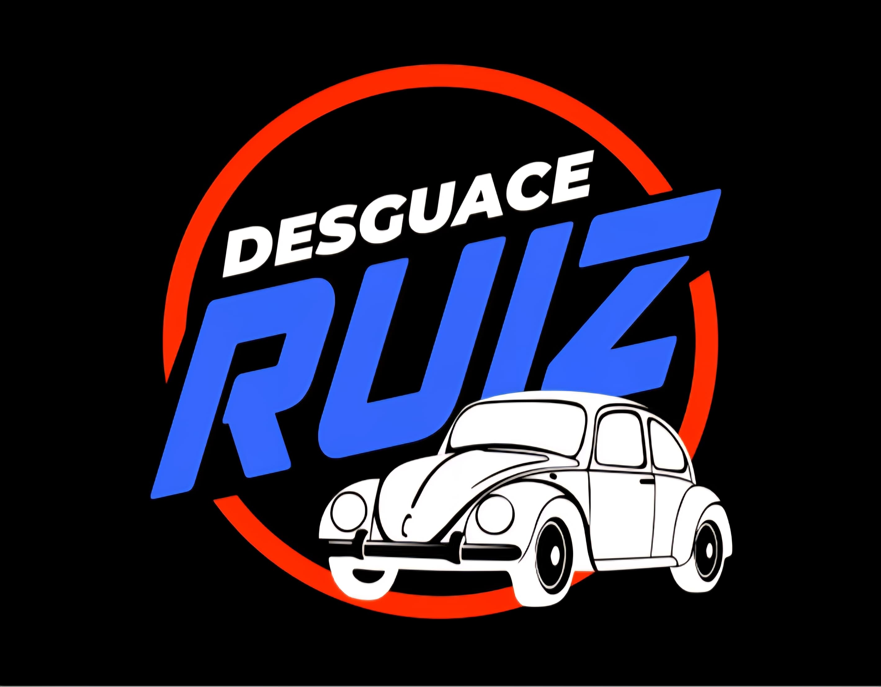 DESGUACE RUIZ